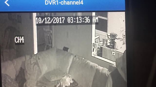 VIDEO: Suspect caught on home surveillance video robbing mother while children are asleep