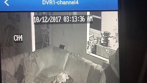 VIDEO: Suspect caught on home surveillance video robbing mother while children are asleep