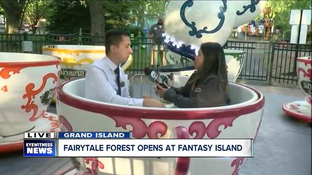 Enchanted Tea Party at Fantasy Island's Fairytale Forest