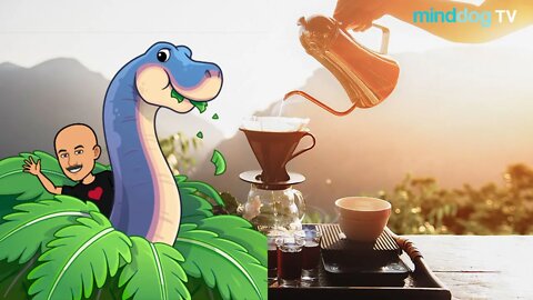 Coffee with the Dog EP263 - Accountability