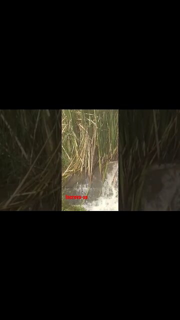 CACHOEIRAS DO PERALZINHO#EU NORDESTE