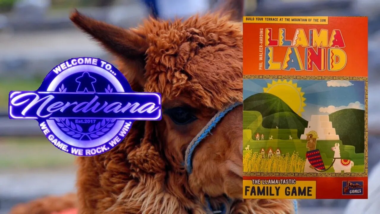 Llamaland Board Game Review