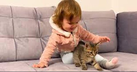 Cute Baby Meets New Baby Kitten for the First Time!