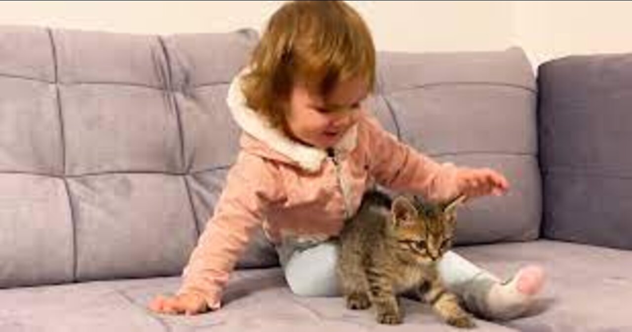 Cute Baby Meets New Baby Kitten for the First Time!