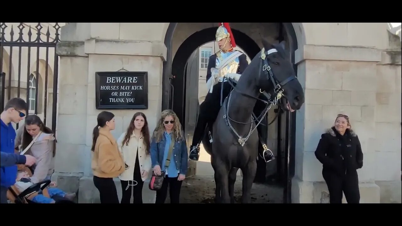 move back over there #horseguardsparade