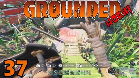 With Her Farming Box Ellie Heads Back To The Ant Hill - Grounded Release - 37