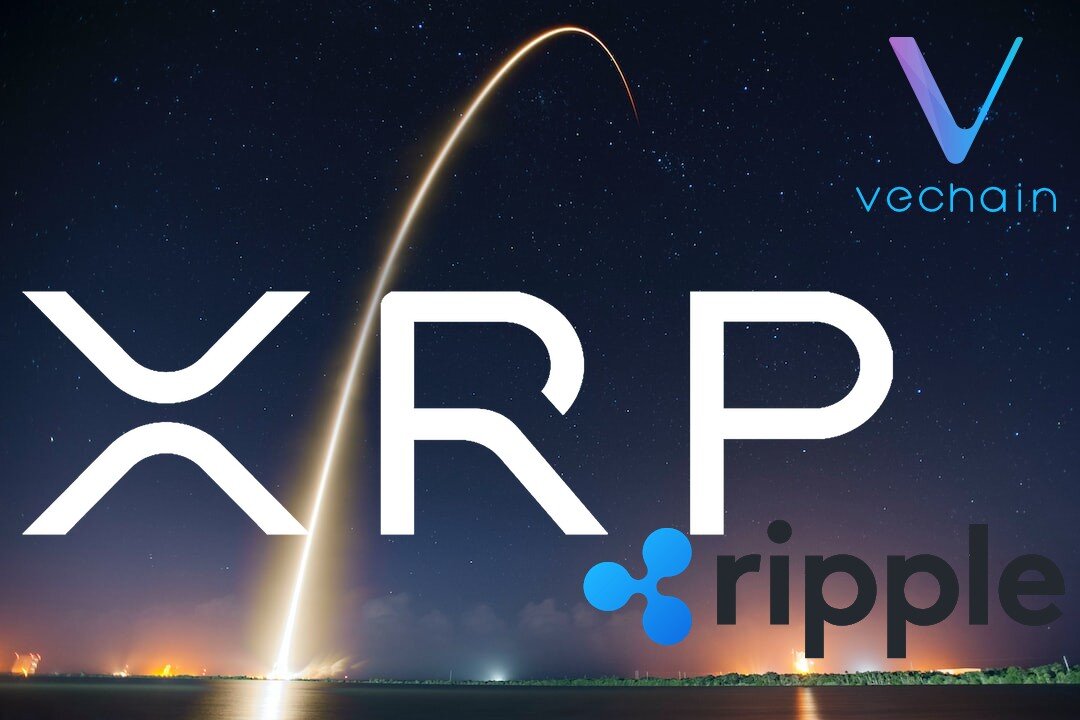 XRP & Vechain!