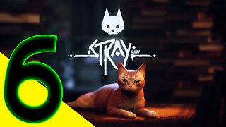 STRAY PC Walkthrough Gameplay - Part 6