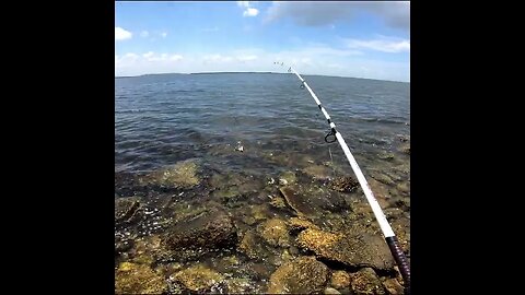 saltwater fishing