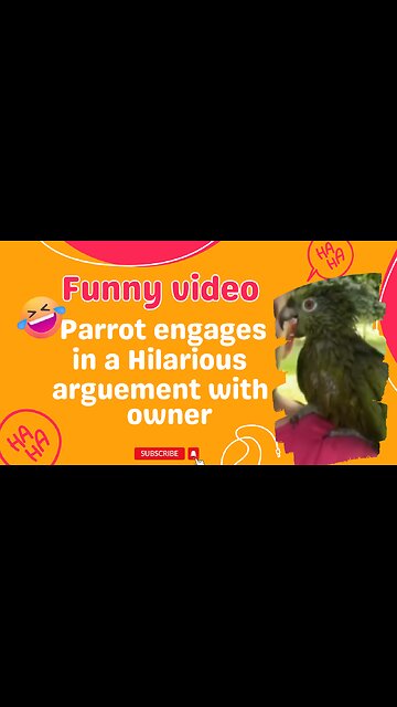 Parrot engages in a hilarious argument with owner