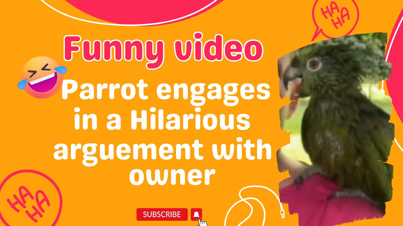 Parrot engages in a hilarious argument with owner