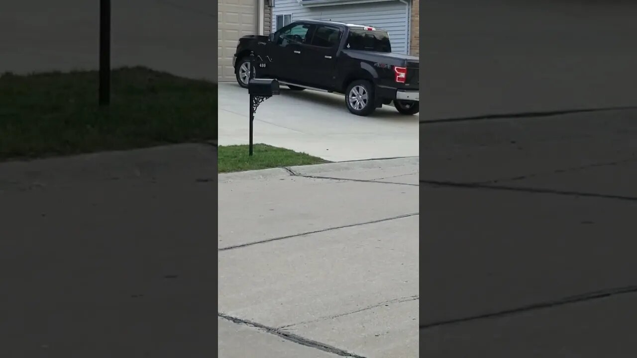 #Deer #wildlife in the count