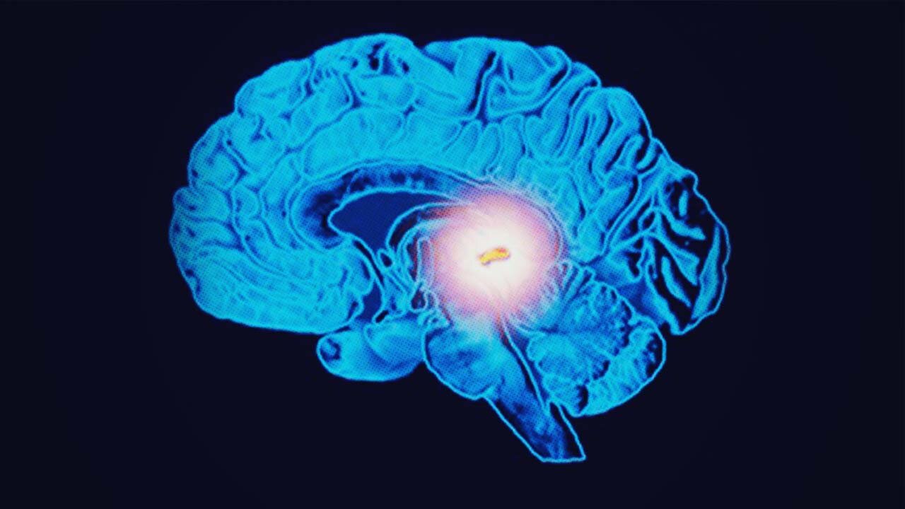 Save Your Pineal Gland; Save Your Life