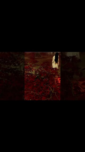 Quase passou por cima e não me viu