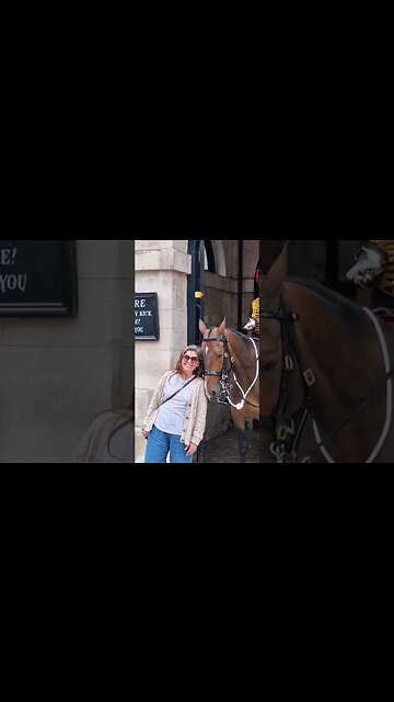 lovely moment with the horse #horseguardsparade