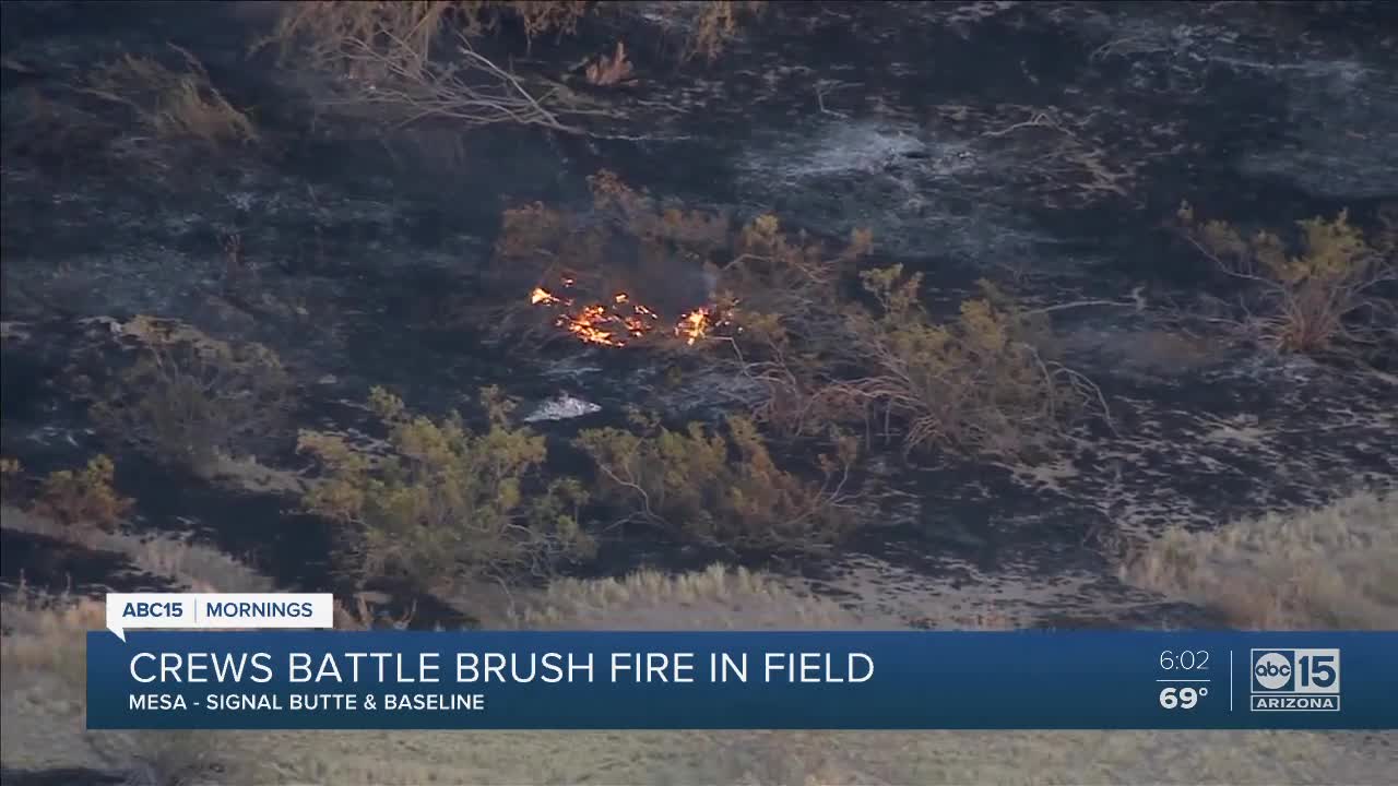 Crews battle brush fire in Mesa near Signal Butte and Baseline