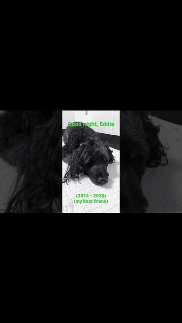 “… I’d sing for you, just one more time…”