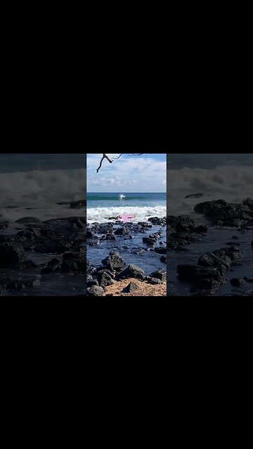 🚙SUMMER FUN CRUISING🐶#aloha #surfsupkauai #beautifulkauai