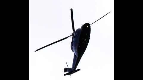 HABITUALLY BULLY HELICOPTERS