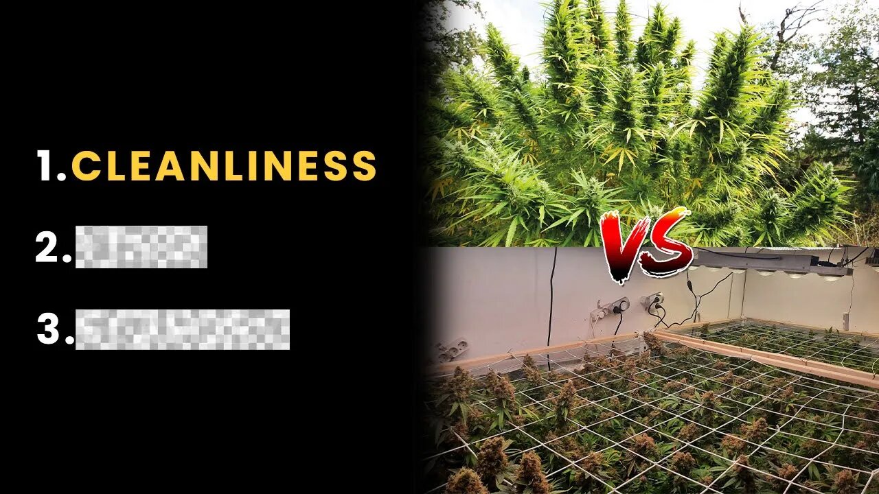 Top 3 Differences Between Indoor Vs Outdoor