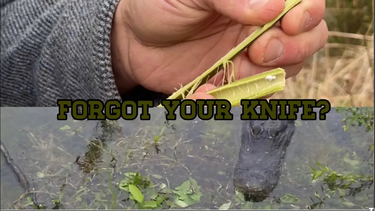 Forgot Your Knife? Here's the SURPRISING Solution!