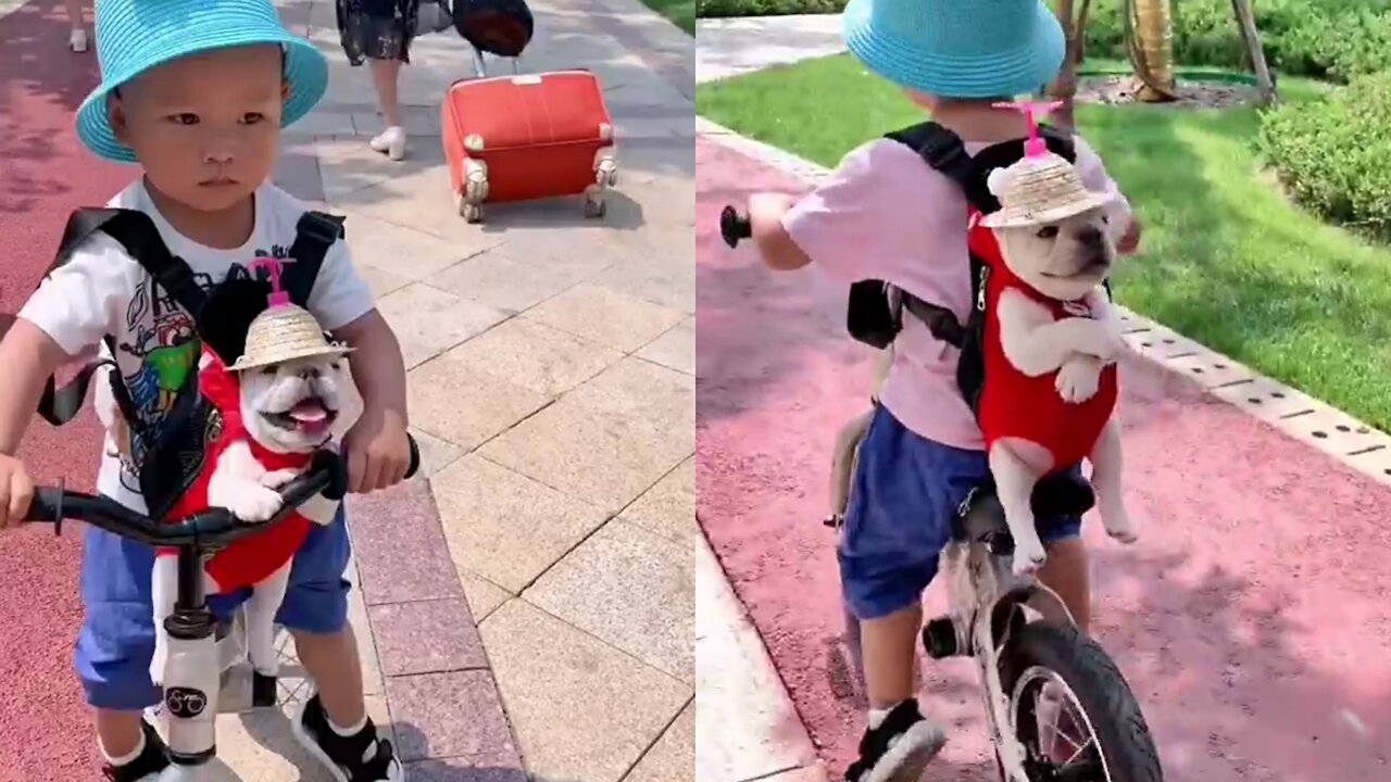 Little boy riding a bicycle with a cute puppy