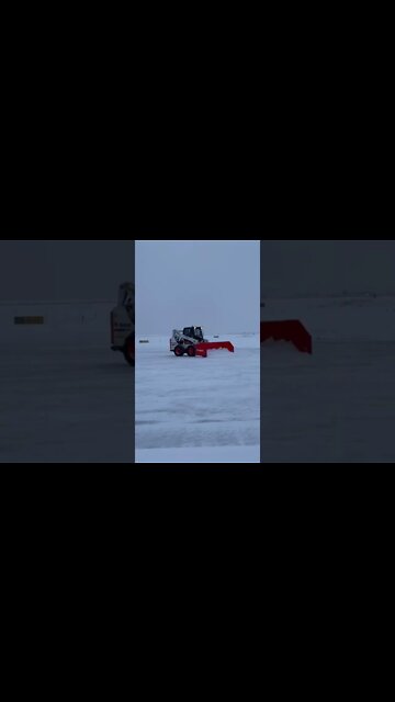 Bobcat snowplowing