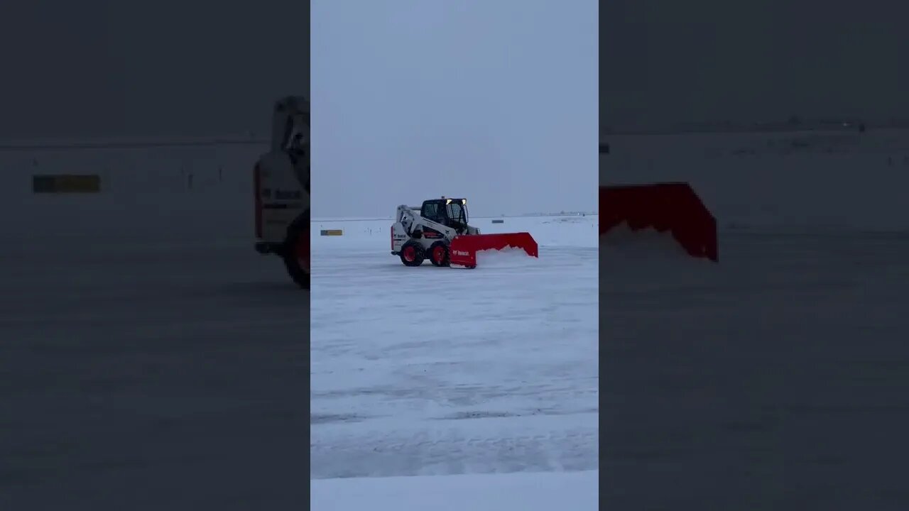 Bobcat snowplowing