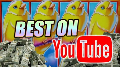 World's Best Slot Player Goes All In! ♦ $50 Max Bet Sweet Tweet Drop N Lock Slots!