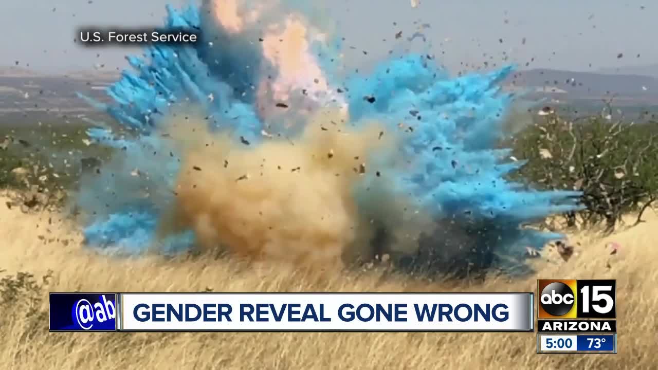 Video released of botched gender reveal that sparked Sawmill Fire