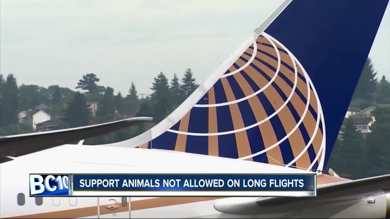 United's new rule for support animals takes effect