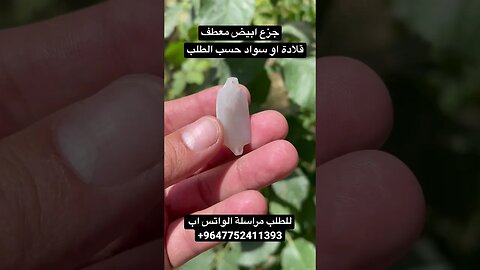 جزع يماني معطف #السعودية #امارات #بحرينيات #عراق #قطر