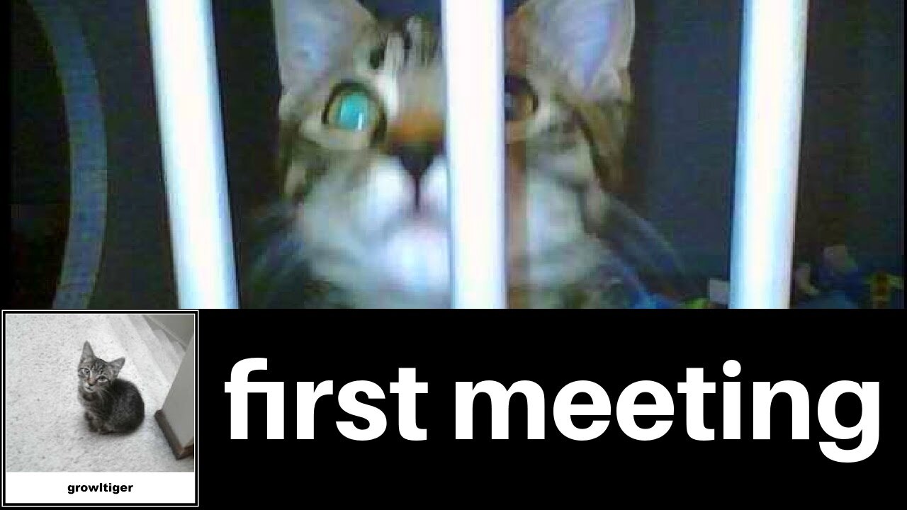 First Meeting