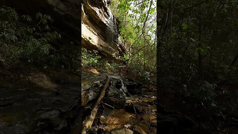 Burnt Mill Bridge Loop, Big South Fork