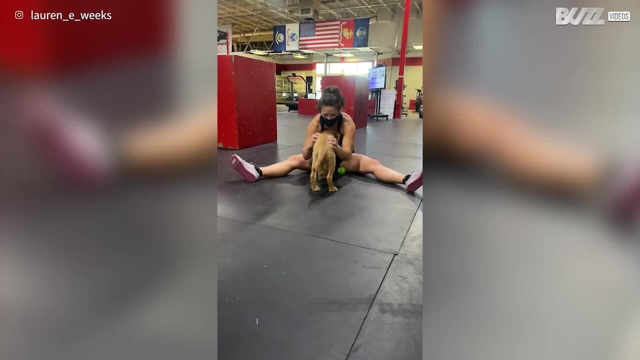 Un adorable chien aide une athlète à se détendre avant sa compétition