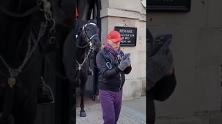 Tourist gets poked by horse #horseguardsparade