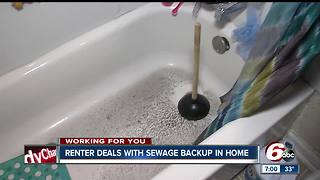 Indianapolis renter deals with sewage backup in home