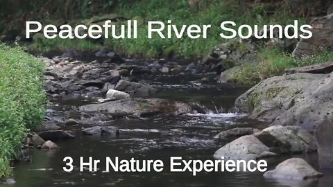 Nature River Sounds -- Relaxing Sounds -- Deep Sleep -- Study