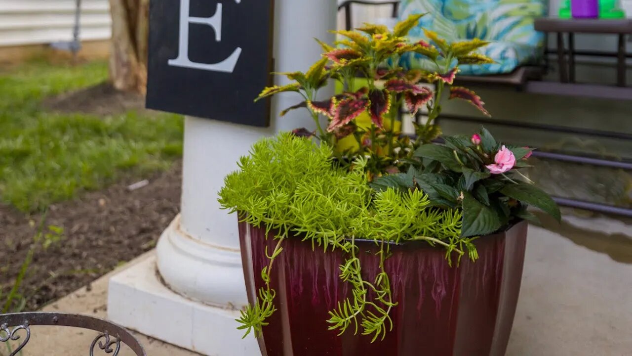 Container Gardening Project - Delivering Red Containers and Some Red White and Blue