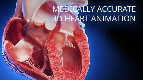 Human Heart Anatomy (3D Medical Animation