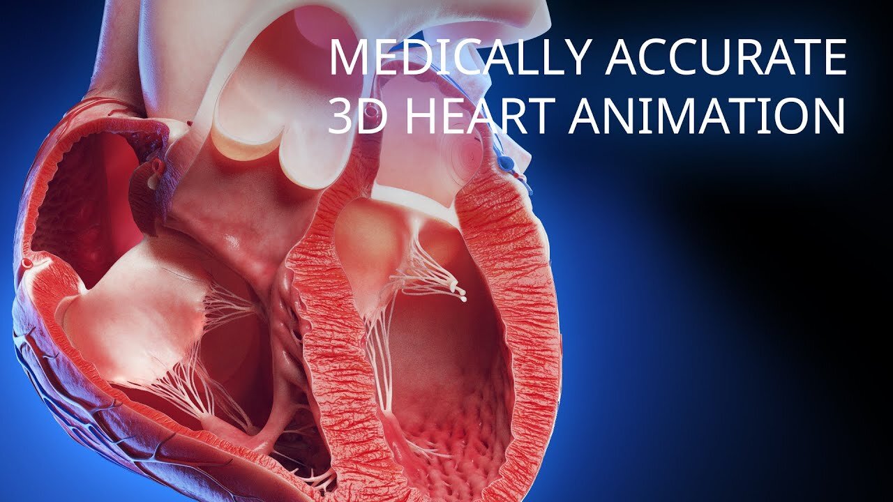 Human Heart Anatomy (3D Medical Animation