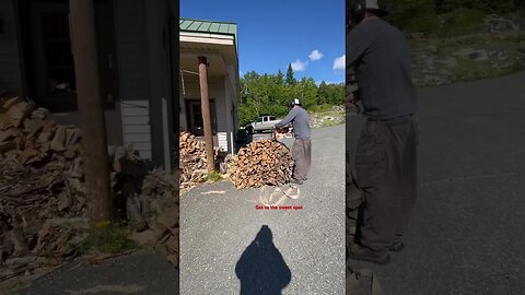 Cutting fire wood #chain saw #farm boss #homesteading