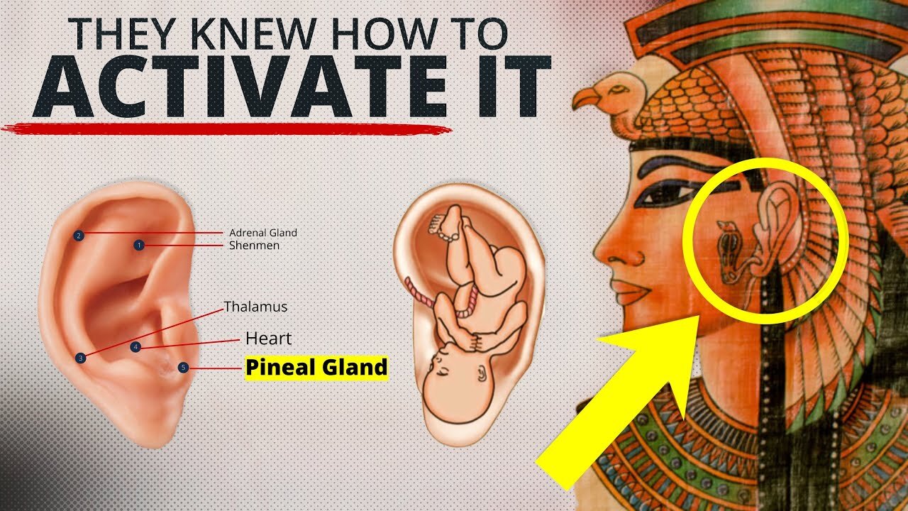 Awakening the Third Eye, Unlocking the Secrets of the Pineal Gland