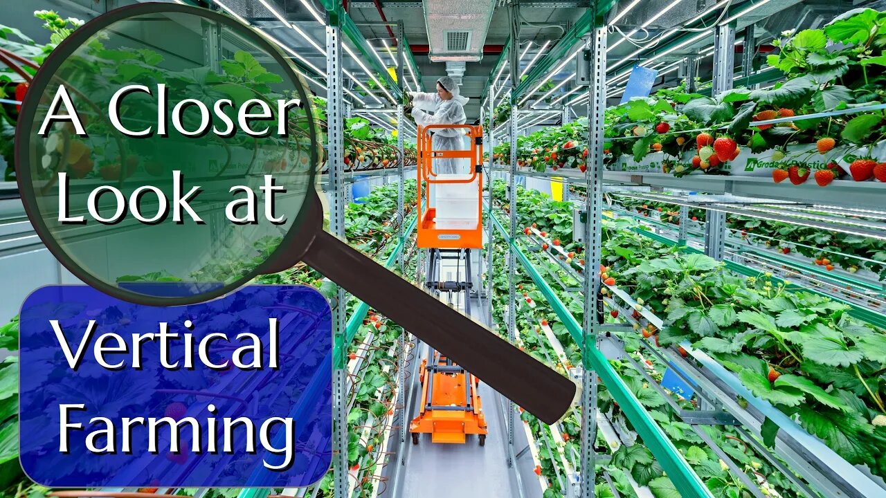 Vertical Farming: A Professional Grower Checks the Hype