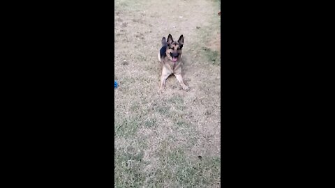 Jager playing