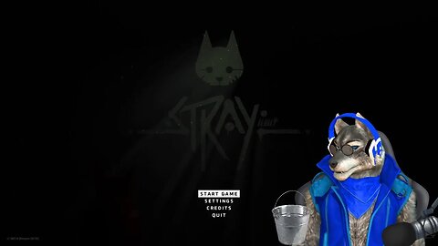 Adventure Time with A Cute Little Kitten - Stray