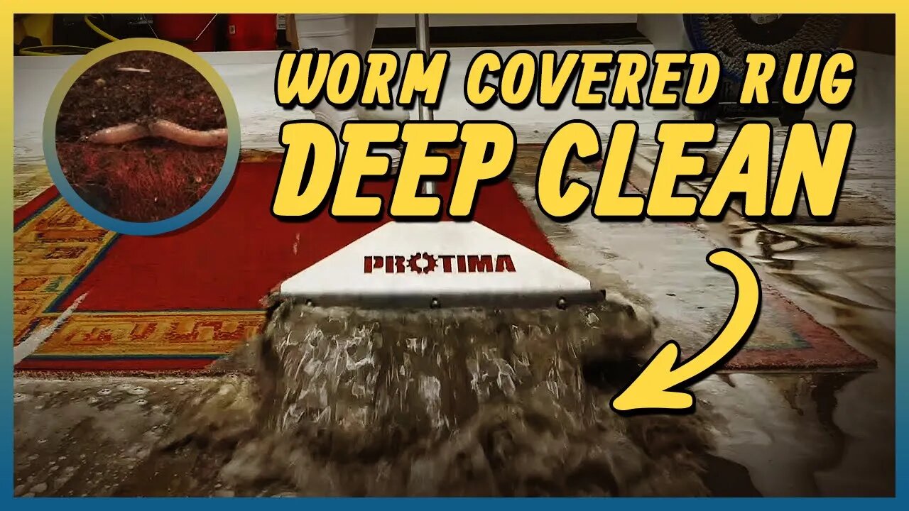 Worm Covered Carpet Restoration | Satisfying ASMR Rug Cleaning