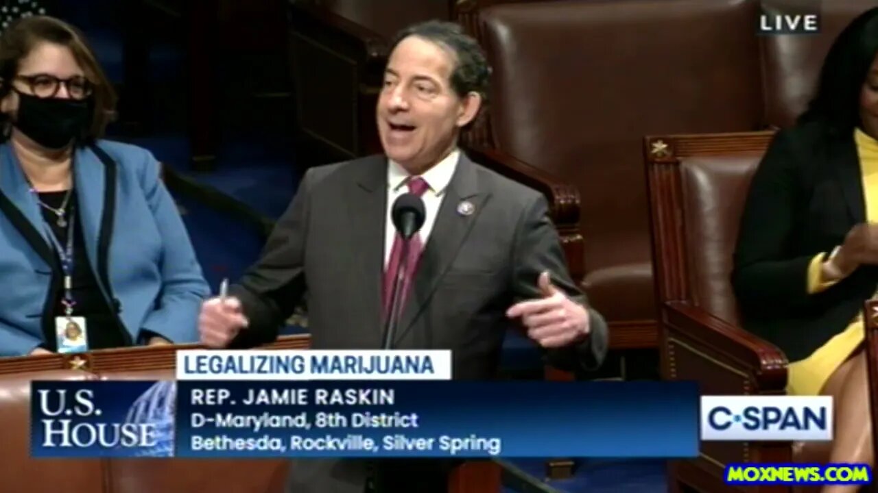 "It's Like They Saw Reefer Madness In Middle School And Never Got Over It!" Rep Jamie Raskin