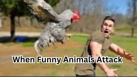 "Hilarious Animal Ambushes: When Nature's Pranksters Attack Humans!"