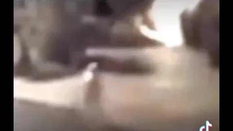 Que es eso?